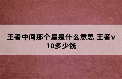 王者中间那个星是什么意思 王者v10多少钱